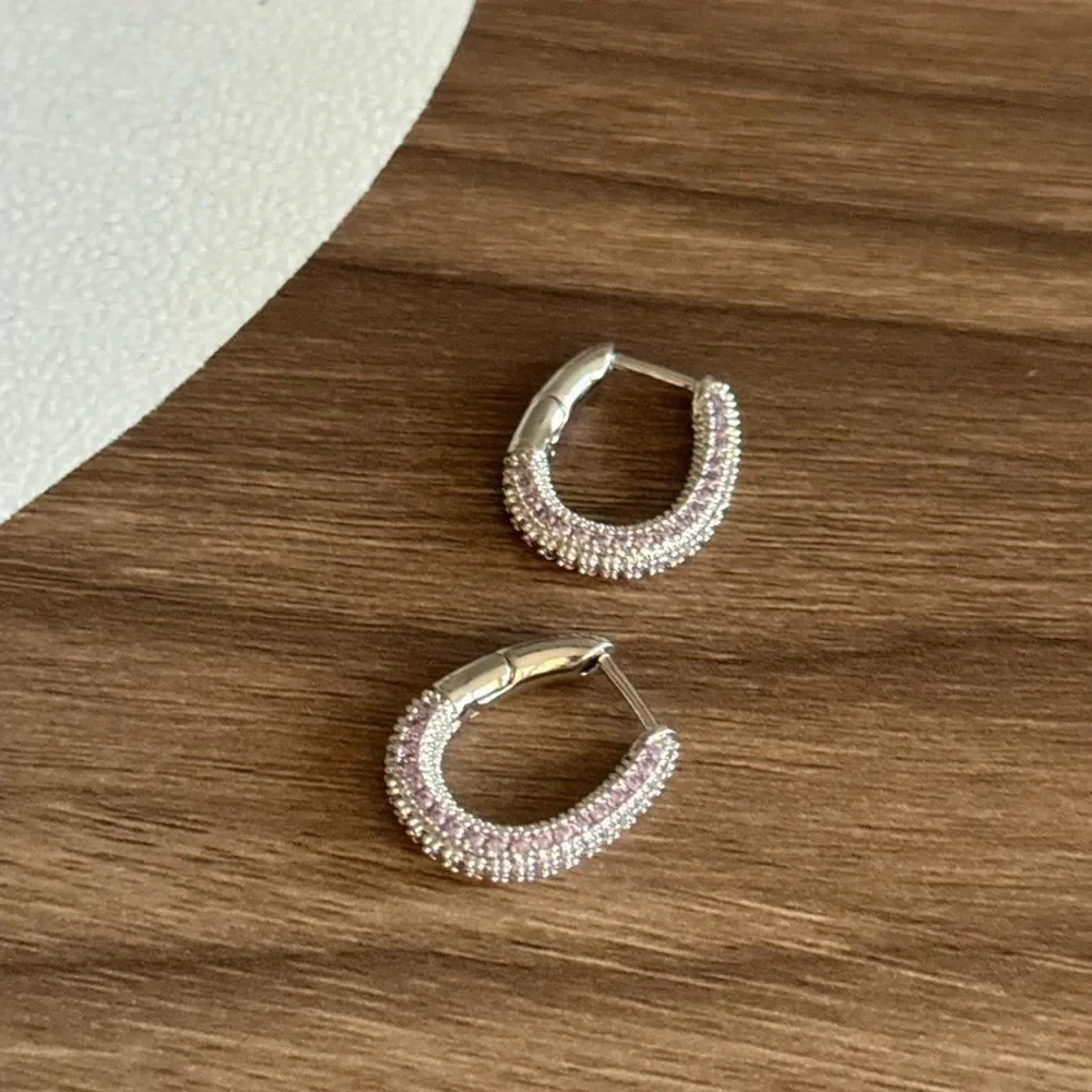 Purple Hoop Earrings Q723